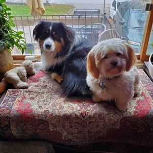 Meet your Posher, Kim